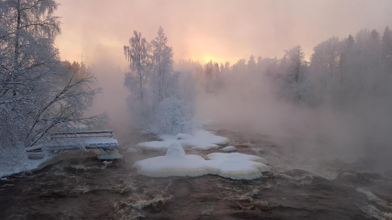Ylae-Saarikko Holiday Cottages Kuusa 외부 사진